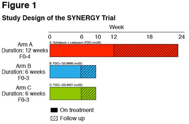 Study Design of the SYNERGY Trial