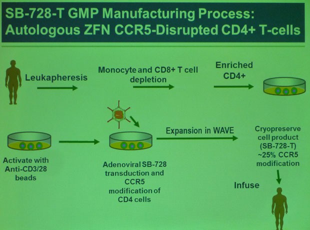 SB-728-T GMP Manufacturing Process: Autologous ZFN CCR5-Disrupted CD4+T-cells