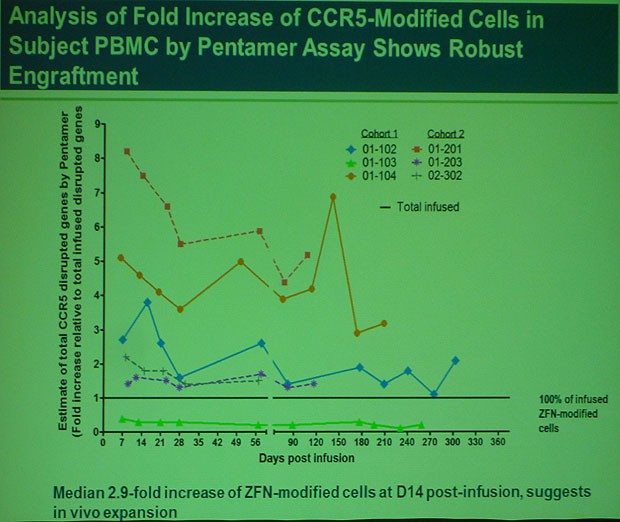 Analysis of Fold Increase of CCR5-Modified Cells in Subject PBNMC by Pentamer Assay Shows Robust Engraftment