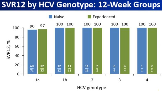SVR12 by HCV Genotype: 12-Week Groups