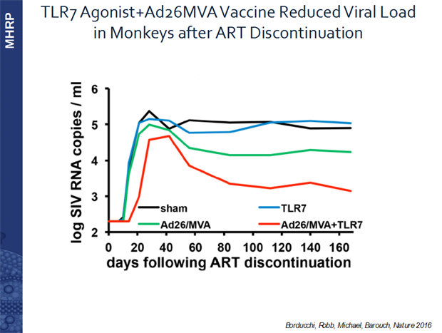 TLR7 Antabonist + Ad26MVA Vaccine Reduced Viral Load in Monkeys after ART Discontinuation