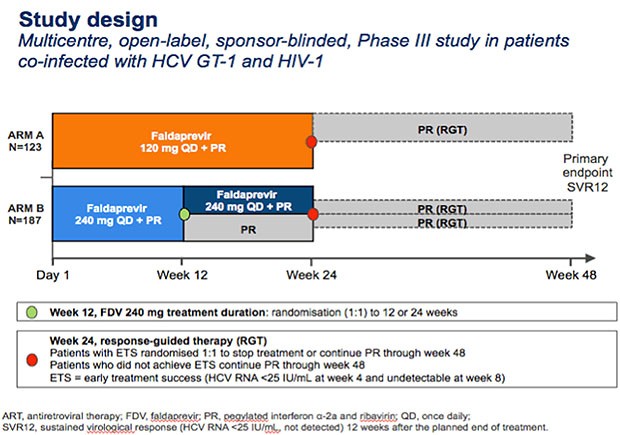 Faldaprevir bei Koinfektion: Study Design