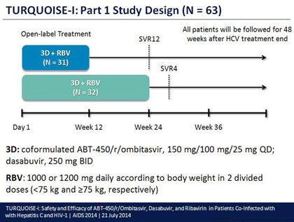 Turquoise-1: Part 1 Study Design (N=63)